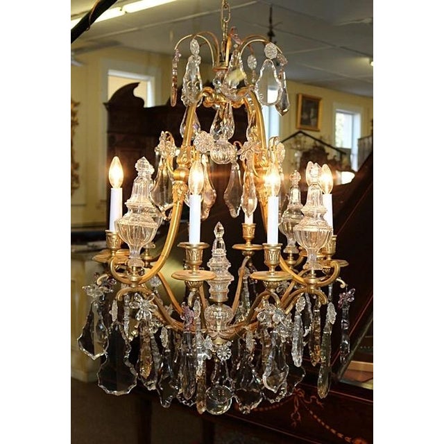 19thc XL Majestic French Louis XV Versailles Gilt Bronze Chandelier Attributed Maison Bagues For Sale - Image 10 of 15