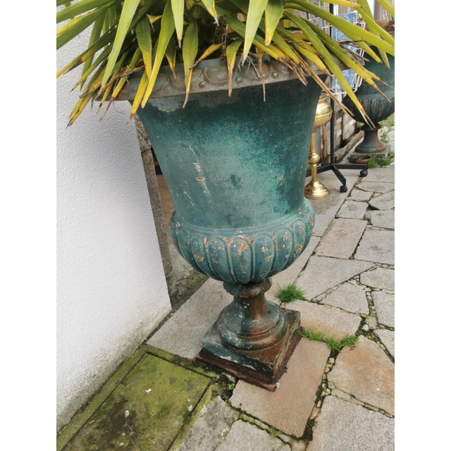 Medici Vases, Set of 2 For Sale - Image 5 of 18