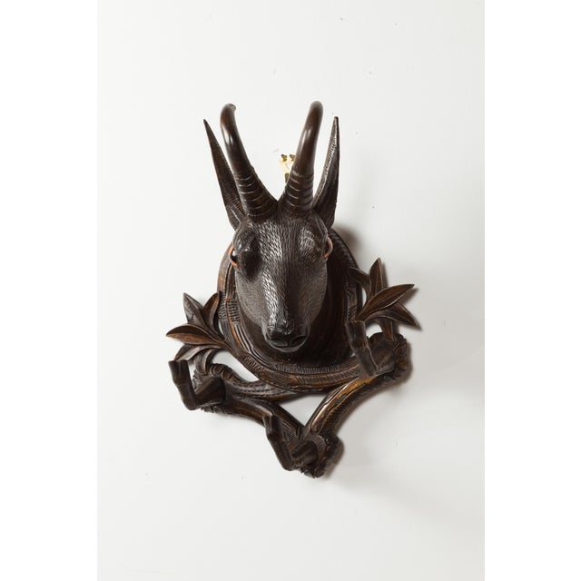 Rustic Pair of Black Forest 1880s Carved Wooden Chamois Coat or Hat Racks with Foliage For Sale - Image 3 of 12
