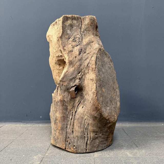 Large Bust in Carved Wood, 1950s For Sale - Image 6 of 18