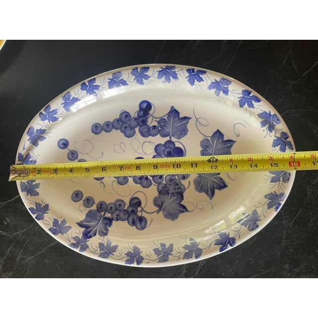 A stunning blue grapes fruit platter from Pier 1 Imports. Measuring 16 inches in length and 11.5 inches in width, this...