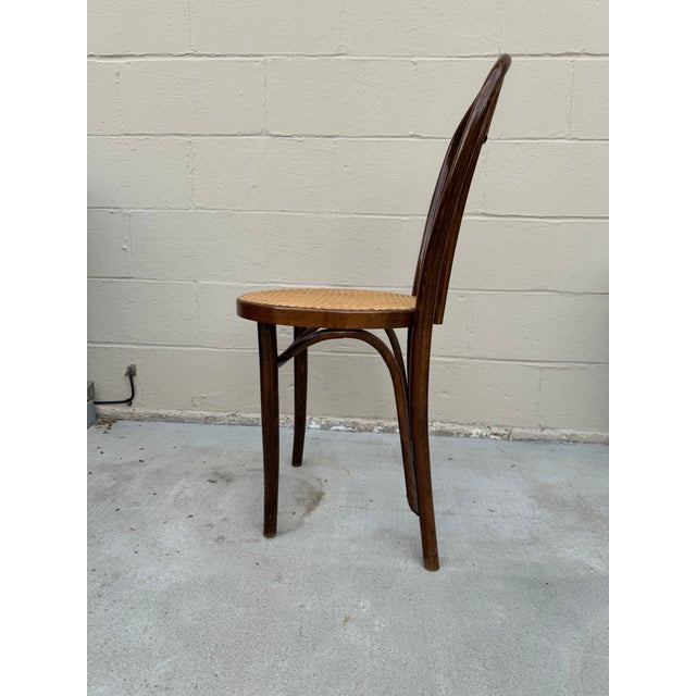 1970s Vintage Thonet Style Bentwood Chair With Cane Seating For Sale - Image 5 of 11