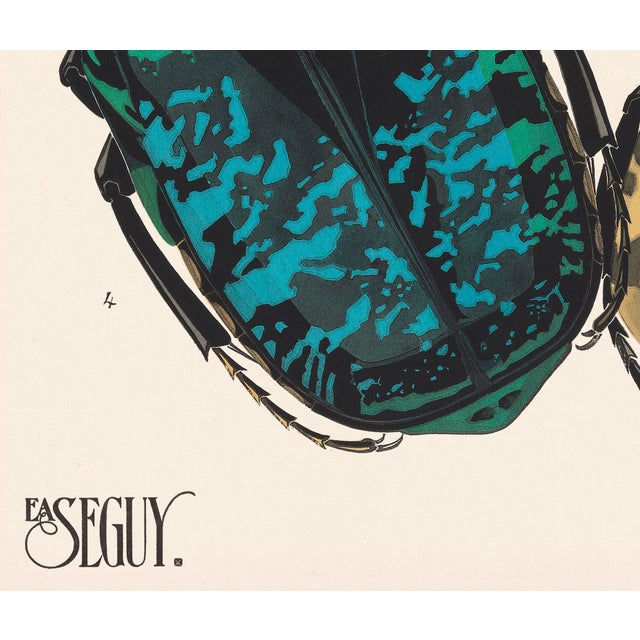 Insects Plate 12 Giclee Reproduction Art Print After Emile Allain Séguy For Sale - Image 4 of 4