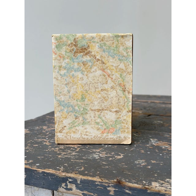 Vintage Mounted Wasp Nest Shadow Box With Panoramic Graduate Photo, Circa 1960s For Sale - Image 13 of 13