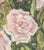 American American Pink Roses Oil on Canvas Panel, 20th Century For Sale - Image 3 of 7