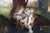 Mid 20th Century Lament for Icarus Greek Mythology Oil Painting After Herbert James Draper 65" For Sale - Image 4 of 13