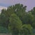 Where Evening Rests by Michael Magrin | Oil on Canvas Landscape With Trees at Dusk For Sale In Denver - Image 6 of 14