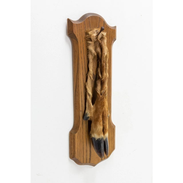 Midcentury hunting trophy made with an oak frame and a deer foot Ideal for a chalet style decoration French, circa 1960....