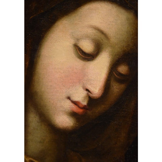 17th Century Scipione Pulzone, Madonna, 1600, Oil on Canvas, Framed For Sale - Image 5 of 14