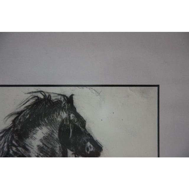 Early 21st Century Elin Sian Blake, Black Welsh Cob, Charcoal on Paper For Sale - Image 5 of 18