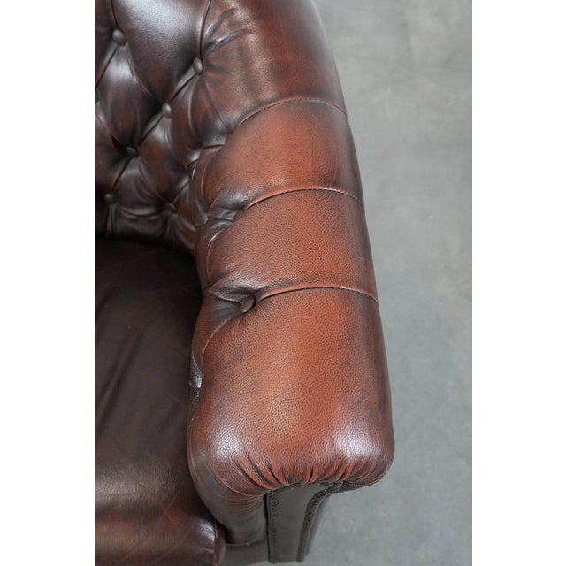 Brown English-Style Chesterfield Club Chair in Cowhide Leather For Sale - Image 8 of 15