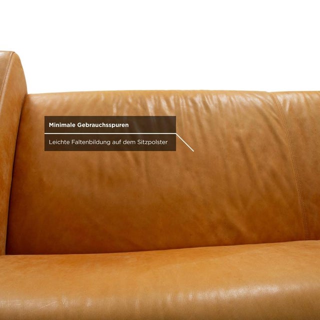Animal Skin Cognac Leather 3-Seater Sofa from Machalke For Sale - Image 7 of 14