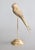 Mid 20th Century Mid-Century Brass Parrots Lovebirds Perched on a Stand For Sale - Image 5 of 10