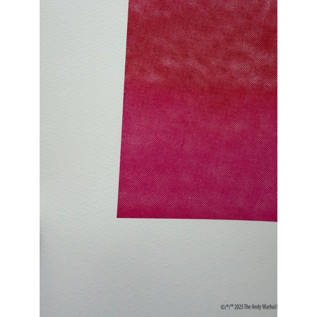 After Andy Warhol, Sunset, 2025, Print For Sale - Image 9 of 10