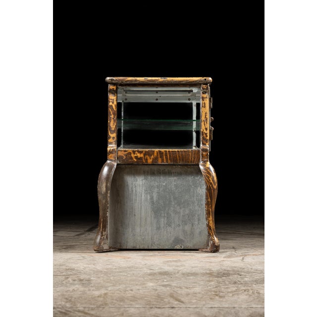 Early 20th Century Medical Display Case by Clark & Roberts For Sale - Image 4 of 18