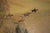 The Meadowbrook Hunt Crossing the Whitney Fields 1941 O/C by Charles Baskerville For Sale - Image 10 of 11
