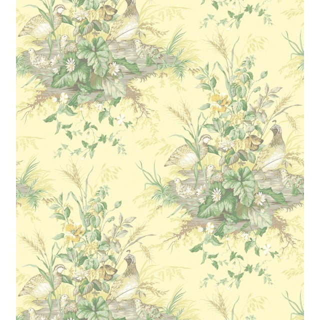 Contemporary The House of Scalamandre Edwin'S Covey Wallcovering, Sunlit For Sale - Image 3 of 3