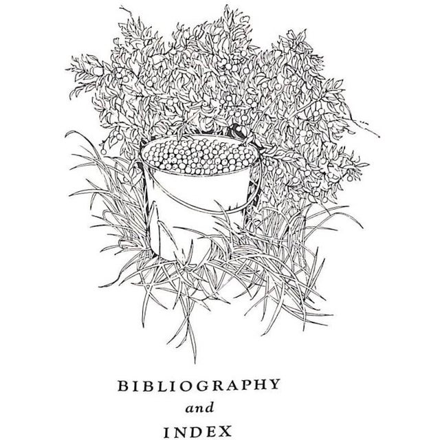 1970s "Plum Crazy: A Book About Beach Plums" 1973 Mirel, Elizabeth Post For Sale - Image 5 of 10