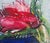 Contemporary Bozena Lesiak, Tulips, Gouache on Paper, 2026 For Sale - Image 3 of 3