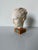 Elegant vintage handcrafted plaster bust sculpture depicting Hygieia, the Ancient Greek goddess associated with health and...
