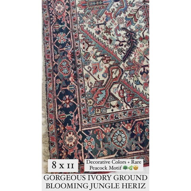 We carry authentic Antique rugs and VIntage rugs that are truly one of a kind made all by hand with organic dyes and...
