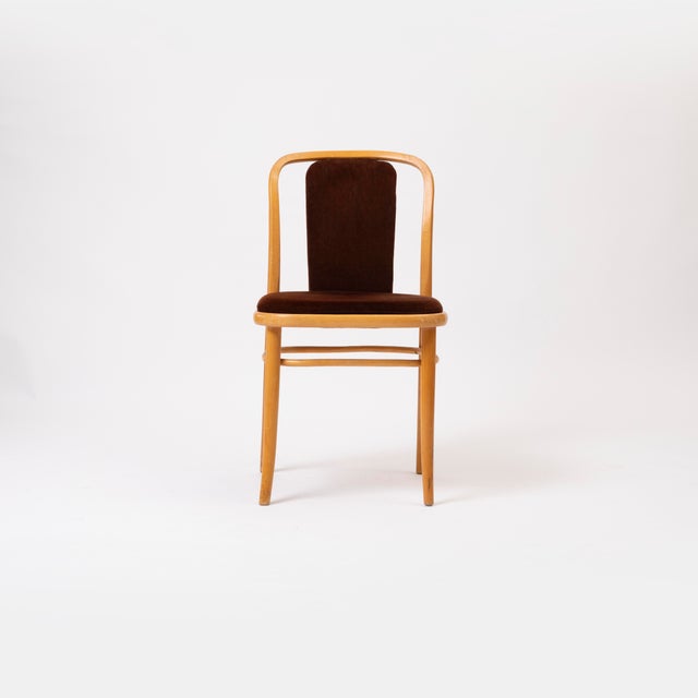 Bentwood Chair in Brown Velvet by Ton, in Good conditions. Designed 1960 to 1969 This piece has an attribution mark, I am...