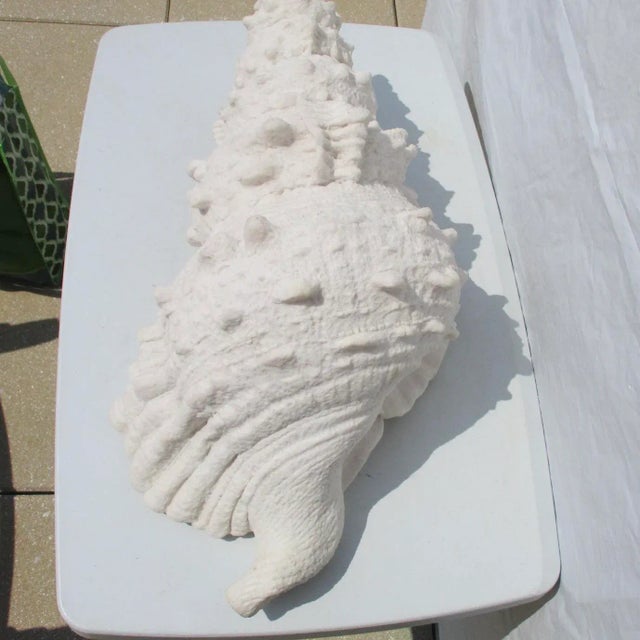Off-white Lamp of Giant Conch Seashell Cast Resin Sculpture For Sale - Image 8 of 10