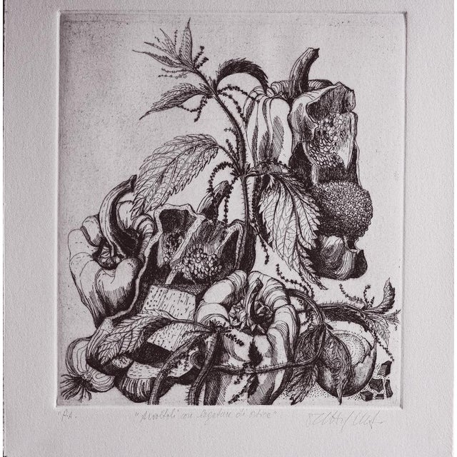 Angela Occhipinti, Vultures with Nettle Binding: Author's Proof, 1950, Engraving For Sale - Image 4 of 5