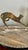 Metal Early 20th Century Werkstätte Stretching Brass Cat on Clear Plinth Hagenauer Style For Sale - Image 7 of 17