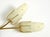 Mid-Century Brass Wall Lamp with Painted Glass Shades, 1950s For Sale - Image 9 of 18