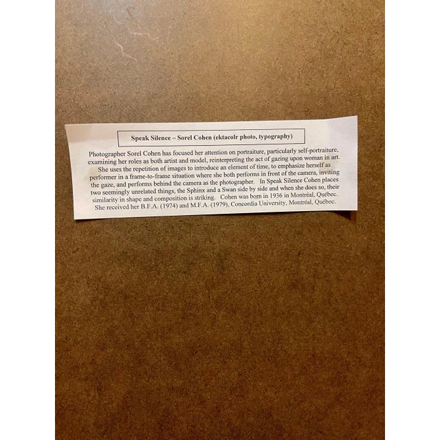 Sorel Cohen Large Scale Color Photograph Ektacolor C Print Art Photo Typography Sorel Cohen 1978 For Sale In Miami - Image 6 of 12