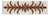 Sample - Schumacher X Celerie Kemble Acanthus Tape in Nutmeg For Sale
