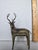 Indian Vintage Indian Dhokra Brass Deer Sculpture For Sale - Image 3 of 9
