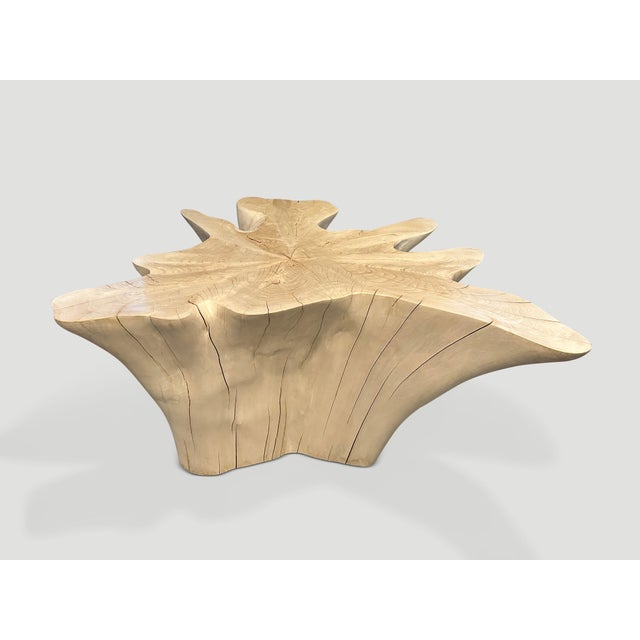 Andrianna Shamaris Amorphous Bleached Teak Wood Coffee Table For Sale - Image 13 of 18
