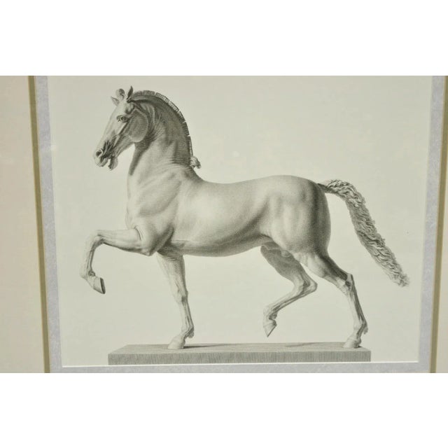 Late 20th Century Vintage Regal Horse Sketch Equestrian Print Framed Art Wall Decor, Set of 2 For Sale In Philadelphia - Image 6 of 12