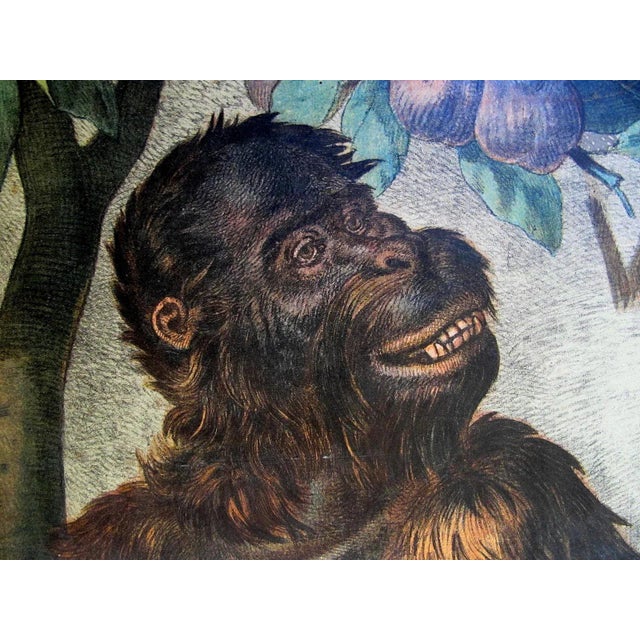 This antique lithograph was used for biology courses.