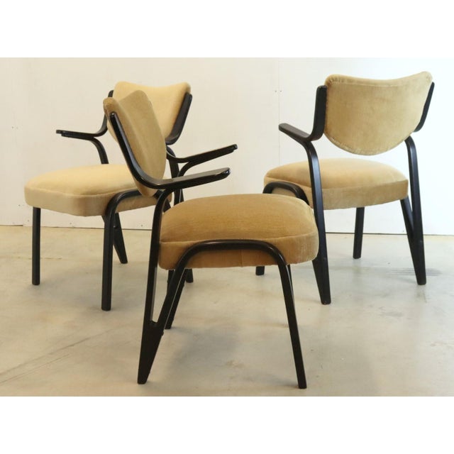 A compact but unique armchair from Germany! with its beautiful frame in black lacquered wood, and its beautifully shaped...