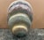 Late 20th Century Hollywood Props Organic Modern Nautilus Shell-Form Wood Sculpture For Sale - Image 5 of 5