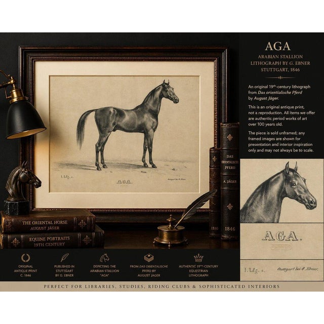 Paper August Jäger, Aga, 1846, Paper Lithograph For Sale - Image 7 of 9