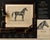Paper August Jäger, Aga, 1846, Paper Lithograph For Sale - Image 7 of 9