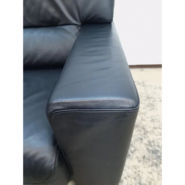 Animal Skin Black Leather FSM Ds 109 Sofa from de Sede For Sale - Image 7 of 13