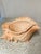 Coastal Vintage Ceramic Shell Planter For Sale - Image 3 of 5