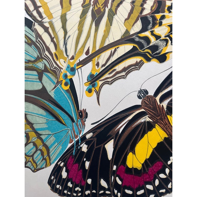1920s 1920s Original E.A. Séguy Butterfly Print(s) From Papillons (No. 5) For Sale - Image 5 of 5