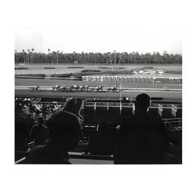 1960s Hollywood Park Horse Racing Photograph by Don Ware For Sale