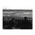 1960s Hollywood Park Horse Racing Photograph by Don Ware For Sale
