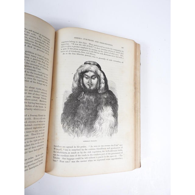 Paper 1874 Polar and Tropical Worlds Arctic and World Expeditions Book For Sale - Image 7 of 16