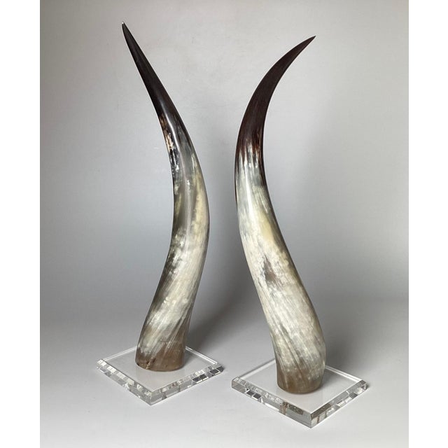 Postmodern Natural Steer Horns on Lucite Bases - A Pair For Sale - Image 3 of 8