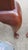 Wood 1980s Set Henkel Harris Cherry Queen Anne Chairs Dining Room For Sale - Image 7 of 13