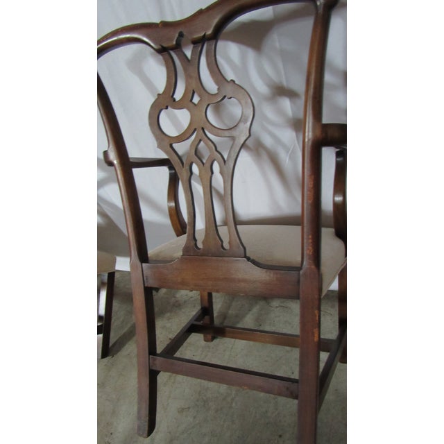 Vintage Mahogany Chippendale Dining Room Chairs Eight For Sale - Image 12 of 13