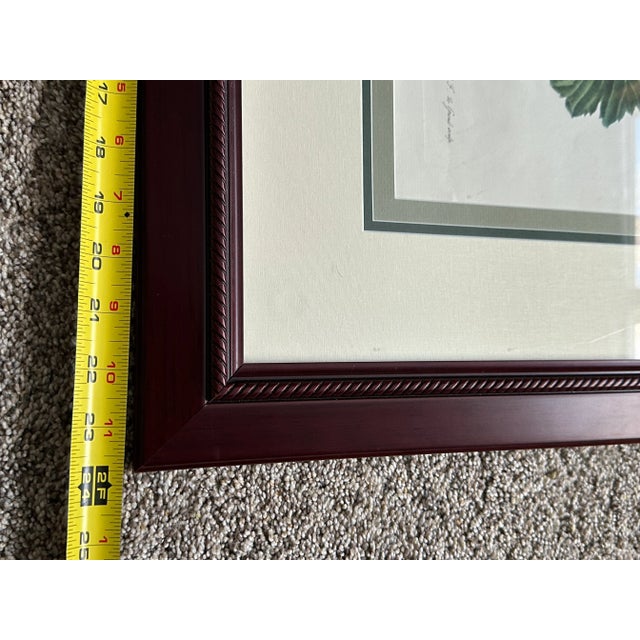 Antique Botanical of Poppy Flowers 19th C. Chromolithograph Poppy From Fleurs Dessinees d'Apres Nature by Gerard Van Spaendonck For Sale - Image 9 of 12